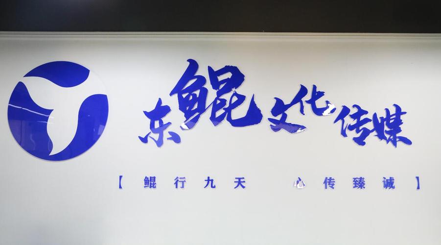 广告制作与广告发布经验分享 从创意落地到渠道合规的全流程指南